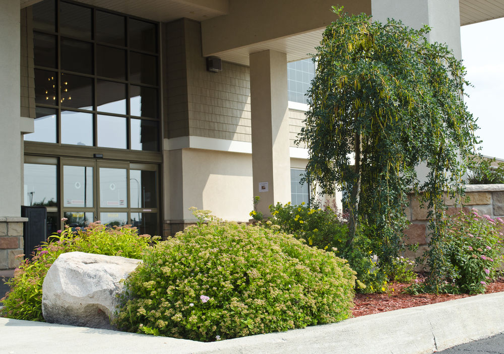 Best Western Plus Dryden Hotel and Conference Centre image 1